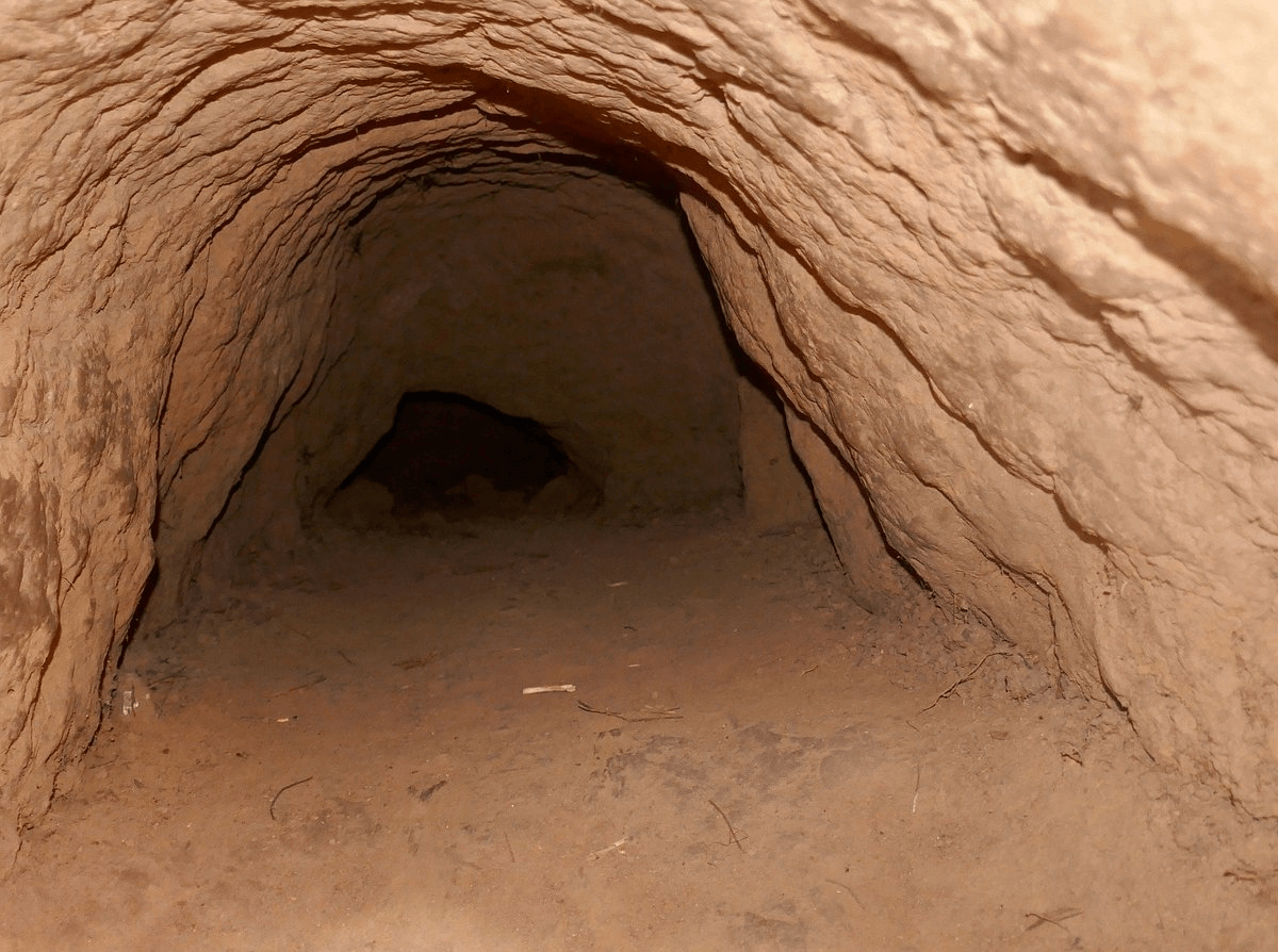 Must-See in Cu Chi Tunnels - Ben Dinh Tunnels