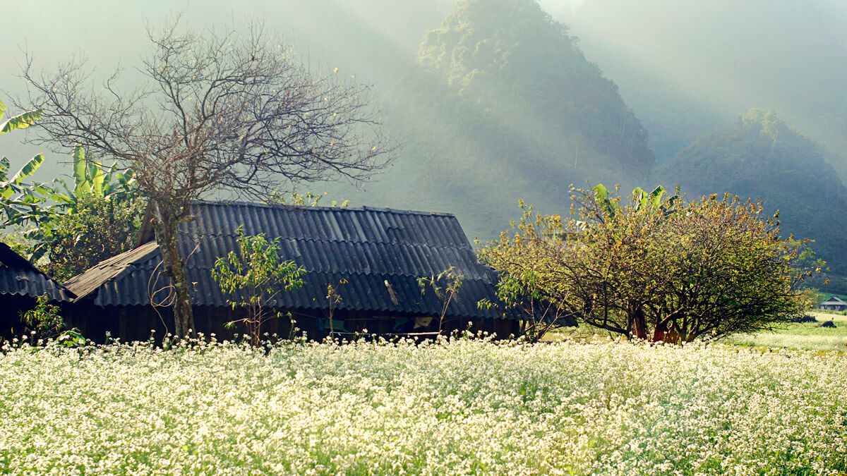 Mai Chau Description