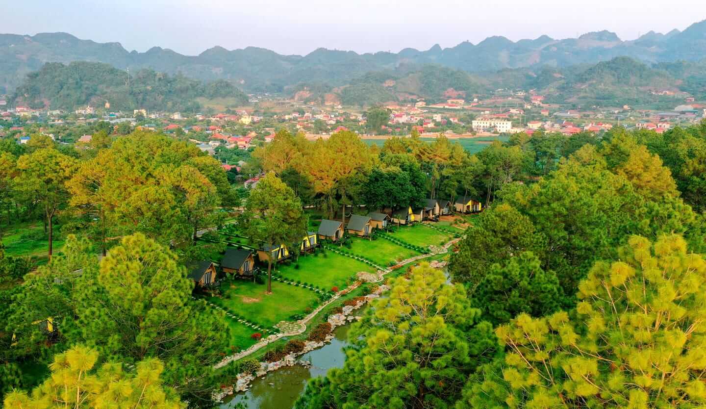 Moc Chau Description - Pine Forest in Ang Village