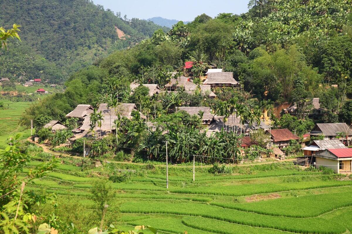 Thanh Hoa Description - Pu Luong Nature Reserve