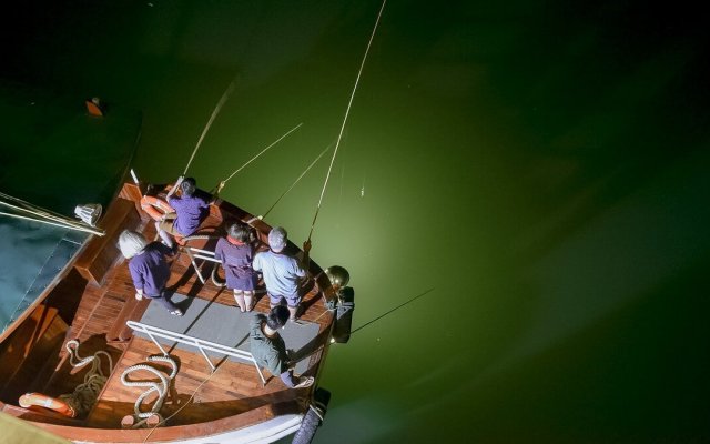 Athena Luxury Cruise Night Fishing