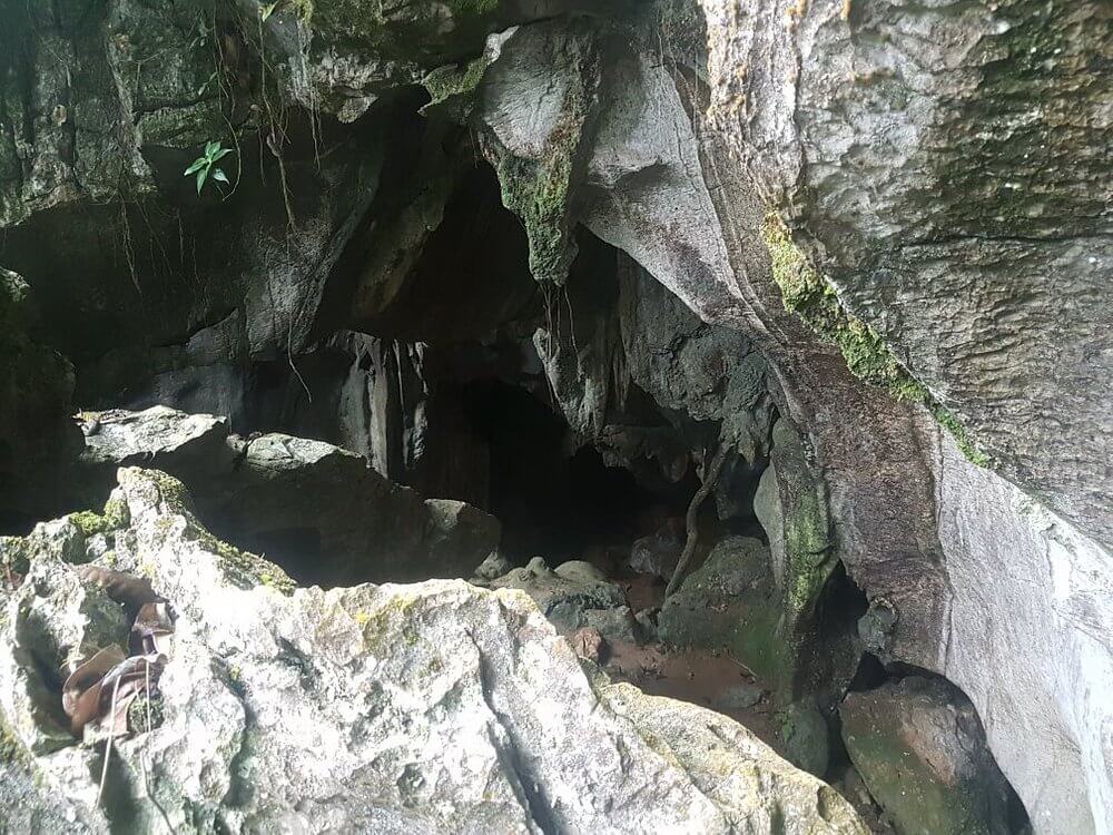 Cuc Phuong National Park Ninh Binh - Caves 2