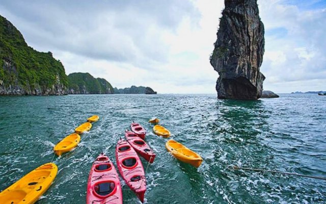 Lavender Elegance Cruise Activities Kayaking