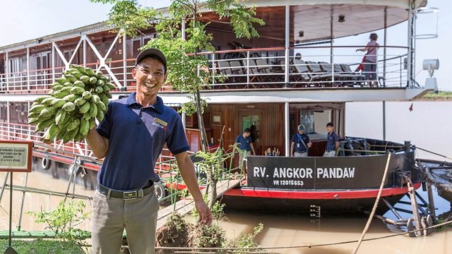 Pandaw Halong Cruise Picking Fruit While Experience Tours