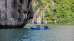 Pelican Cruise Kayaking