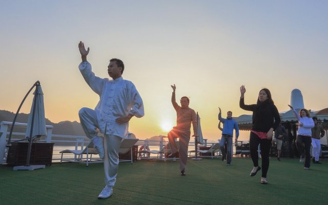 Starlight Cruise Recharge Body and Mind with Tai Chi