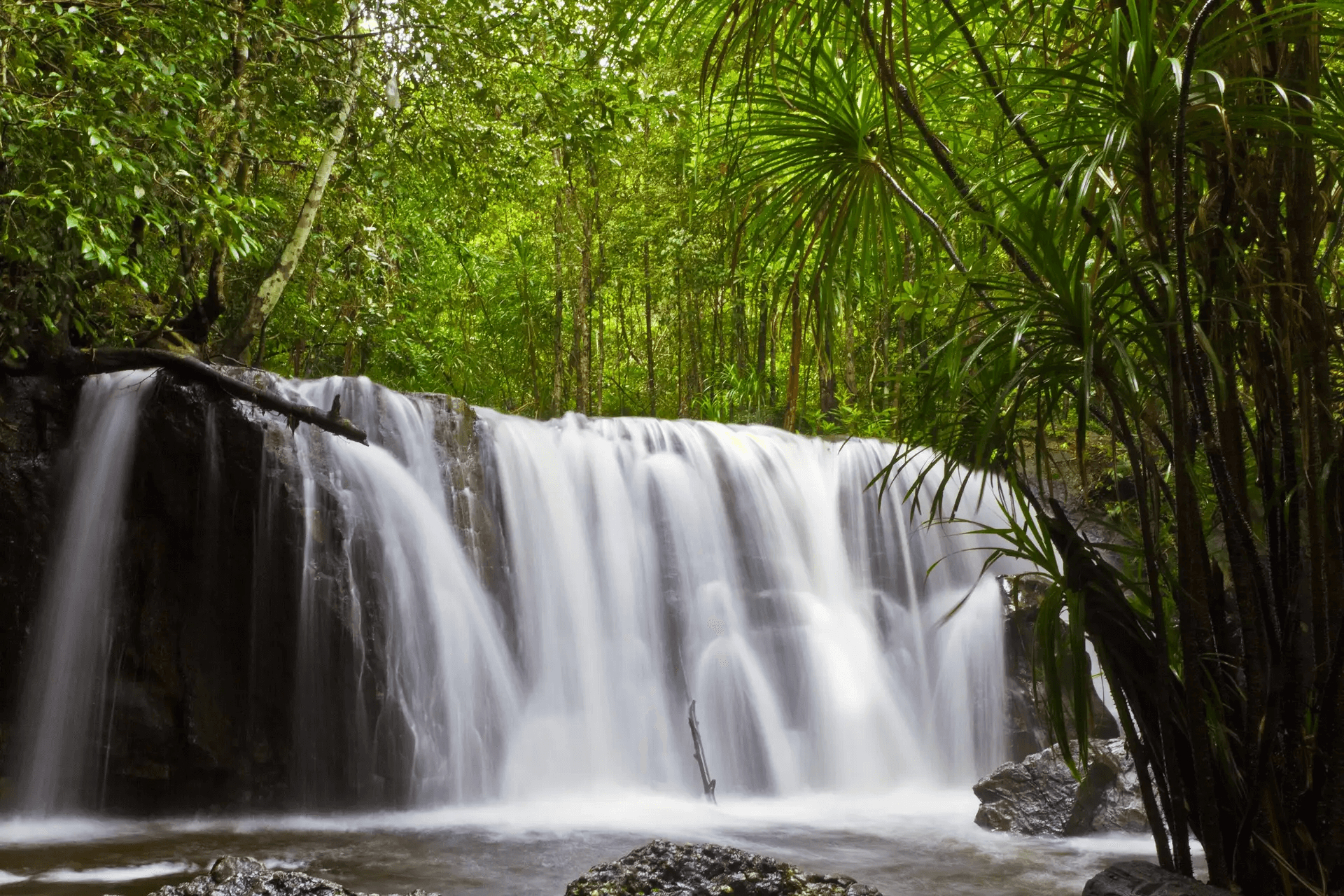 Things to Do in Phu Quoc: Exploring Suoi Tranh Waterfall