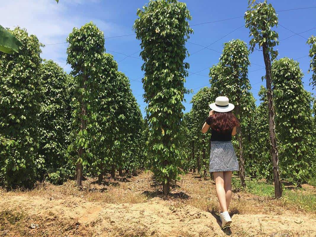Things to Do in Phu Quoc: Visiting some local farms on the island