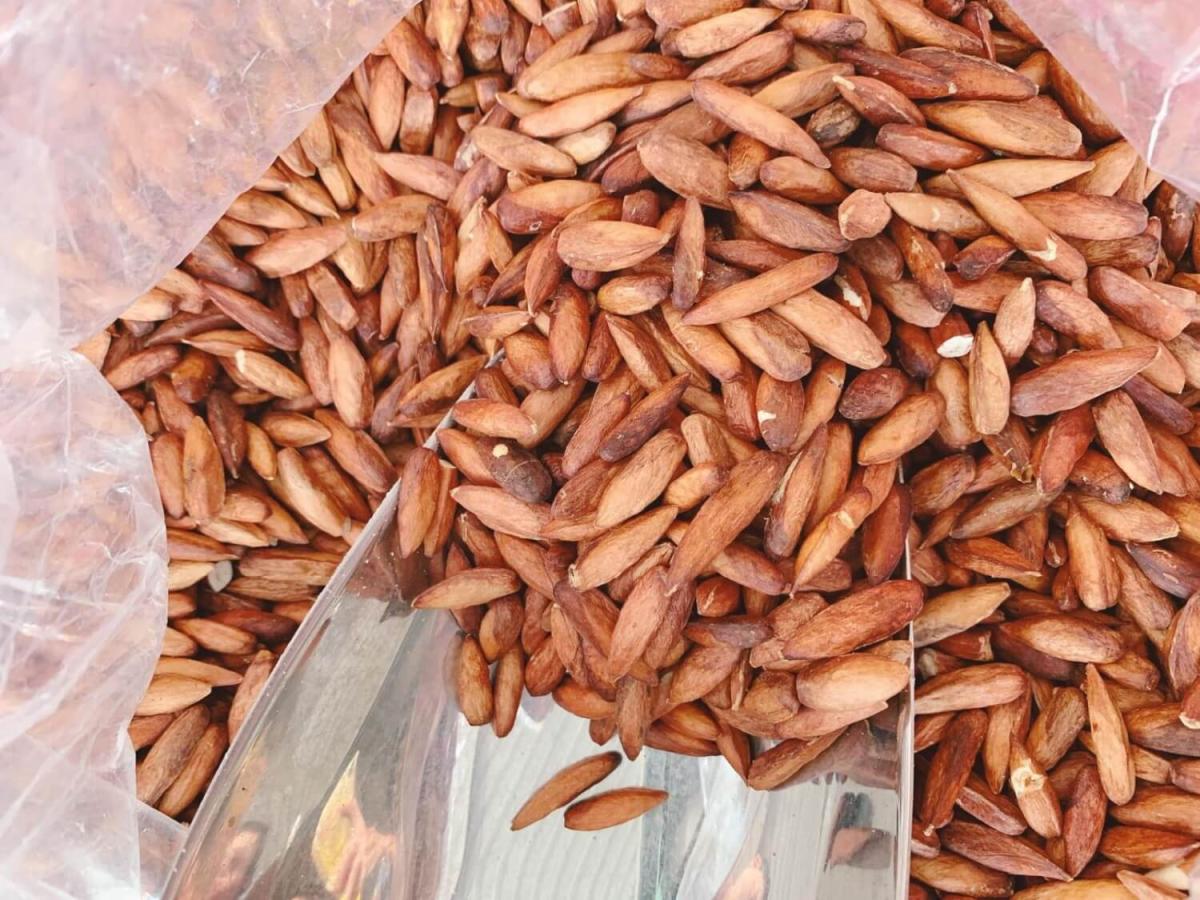 Vung Tau Delicacies: Con Dao Sugared Indian-Almond Kernel