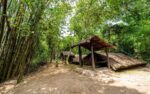 Cu Chi Tunnels Half Day Trip