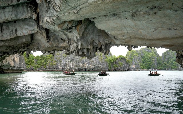 Halong Bay Day Trip - Titop Island and Luon Cave