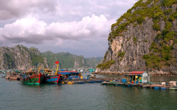 Halong Bay and Bai Tu Long Bay Luxury Boat Tour