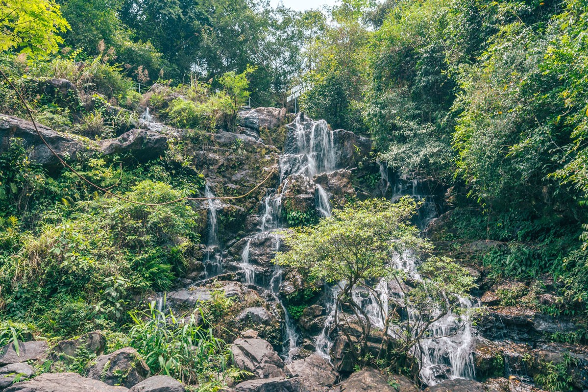 Things to do in Phong Nha Ke Bang National Park: Visiting Phong Nha Botanical Garden