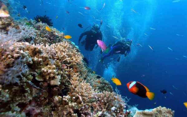 Phu Quoc Day Trip - Diving at the south islands