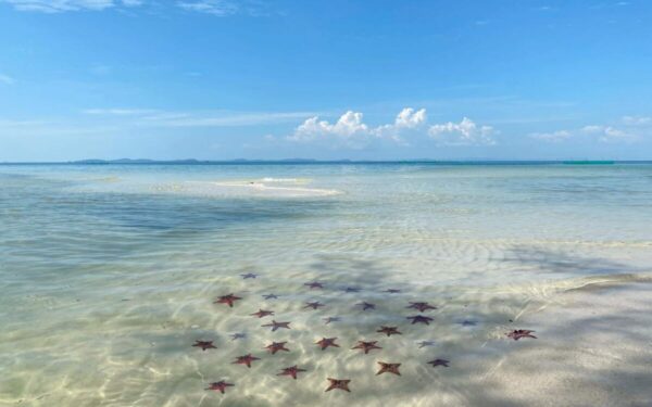 Phu Quoc Day Trip - Fishing village and the starfish beach