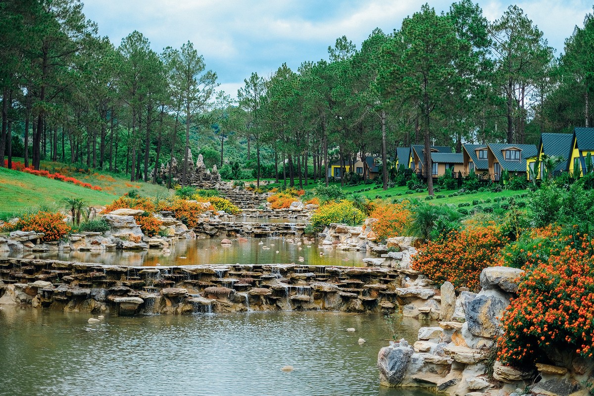 Tourist Attractions in Moc Chau: Pine Forest In Ang Village