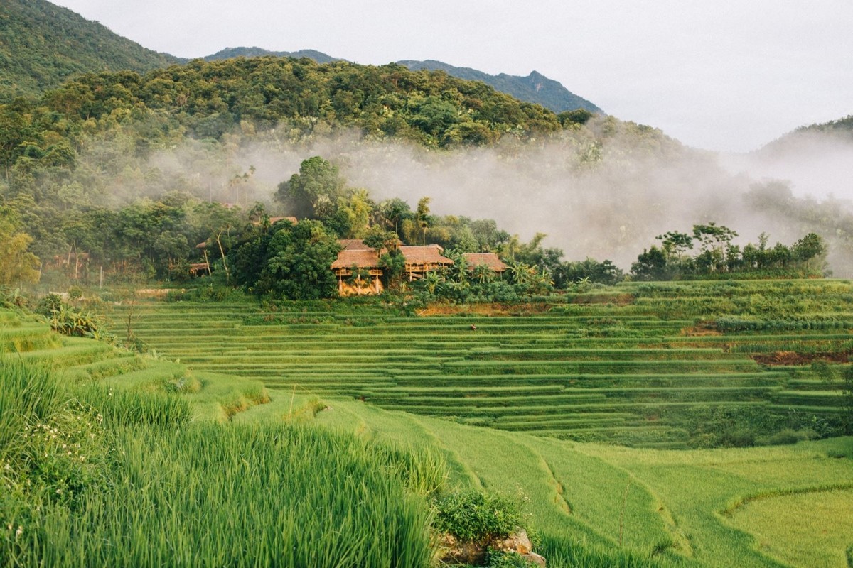 Travel to Pu Luong: Peaceful sceneries of terraced fields and ethnic villages