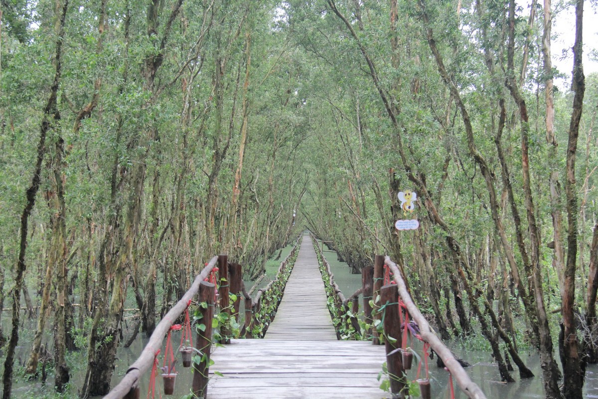 Top places in Tra Su Cajuput Forest: Love Bridge (Cây cầu tình yêu)