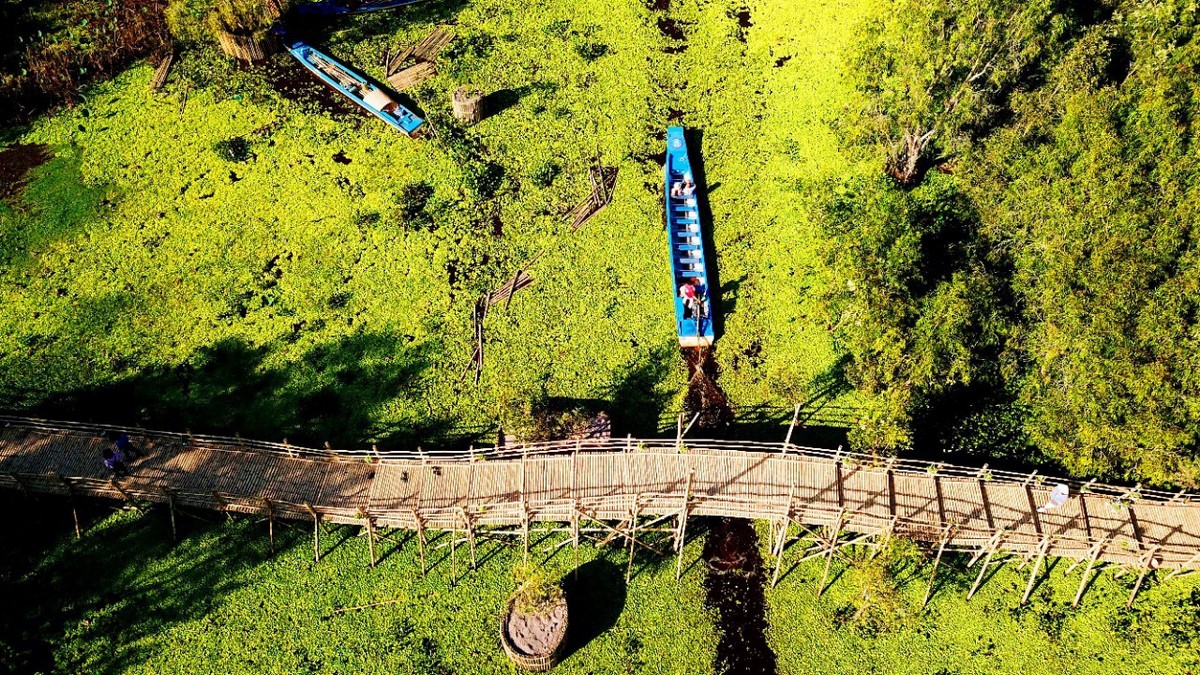 Top places in Tra Su Cajuput Forest: Bamboo Bridge of ten thousand steps (Cầu tre vạn bước)