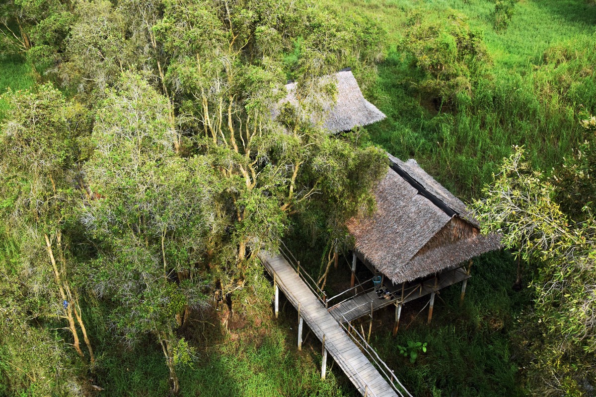 Tra Su Cajuput Forest is one of Vietnam’s most beautiful forests