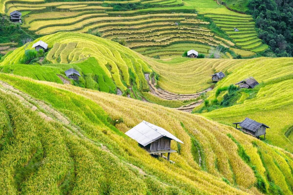 The stunning landscapes of terraced fields in Mai Chau