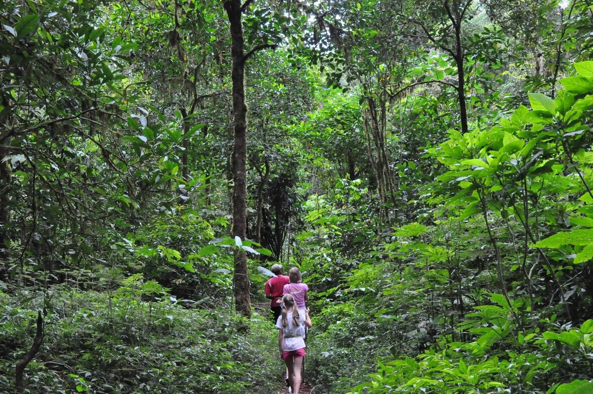 Things to Do in Phu Quoc Island - Trekking in Phu Quoc National Park