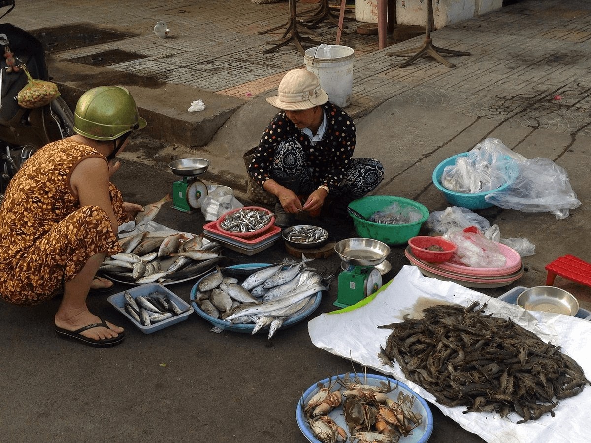 Vung Tau Travel Guide: Best Things to Do - Visit Xom Luoi Seafood Market