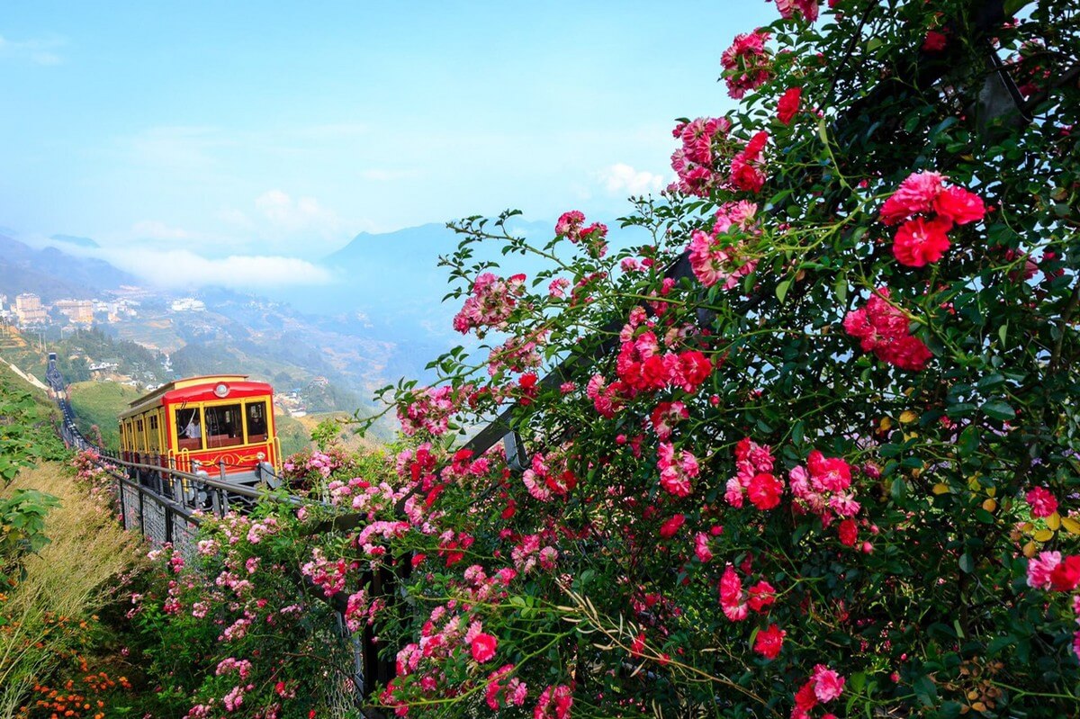 Where to go in Sapa for couple - Sapa Rose Valley