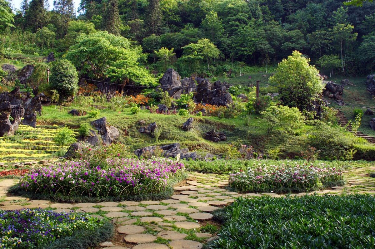 Where to go in Sapa for couple - The flower garden on the side of Ham Rong Mountain