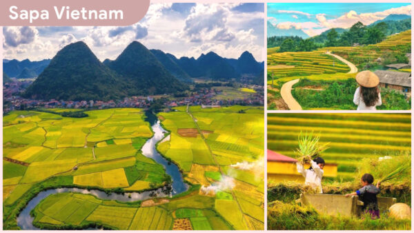 Hanoi to Sapa Sapa is a wonderful destination in Northern Vietnam