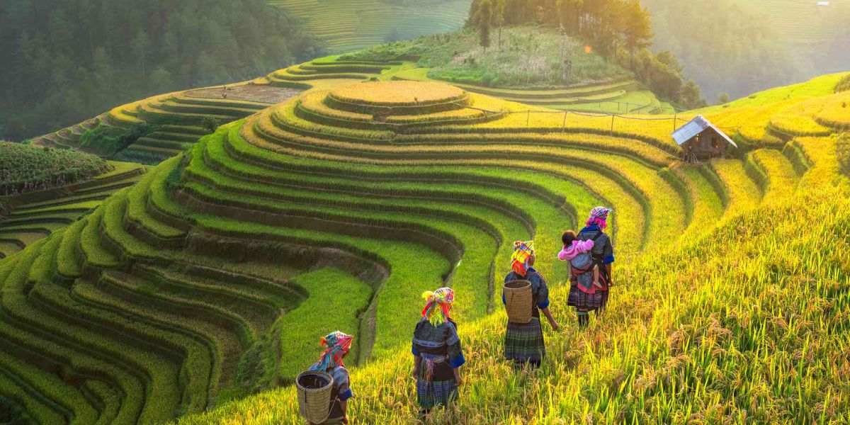 Hanoi to Sapa Upon arrival in Sapa, visitors are greeted by a charming town surrounded by rolling hills and terraced rice fields