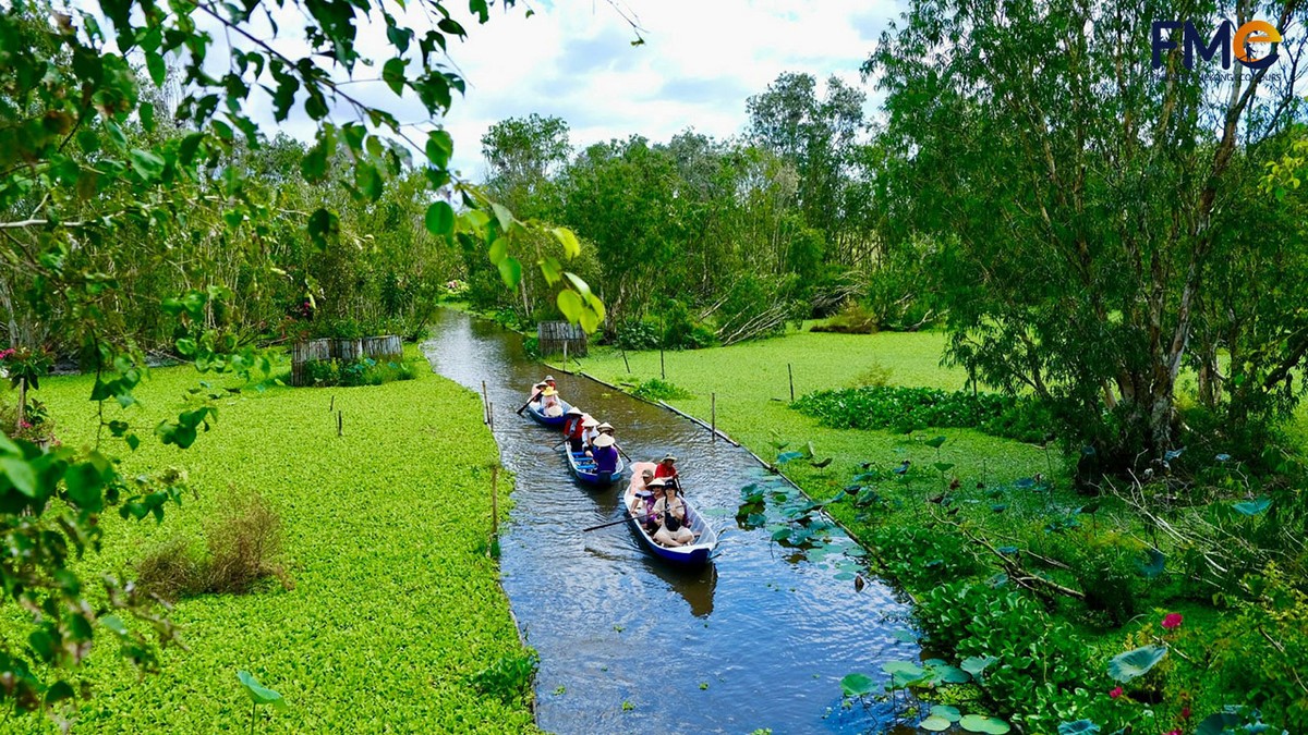 Things to Do in Mekong Delta - Take a Day Trip to Tra Su Cajuput Forest