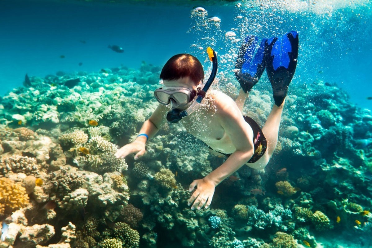 Things to Do in Nha Trang - Discover the Underwater World through Snorkeling or Scuba Diving