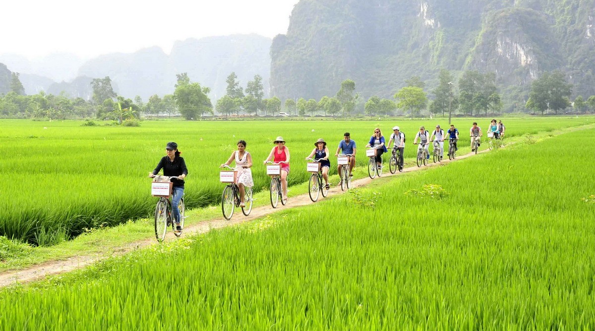 Things to Do in Ninh Binh - Enjoy the serene beauty scene by cycling through the countryside of Ninh Binh