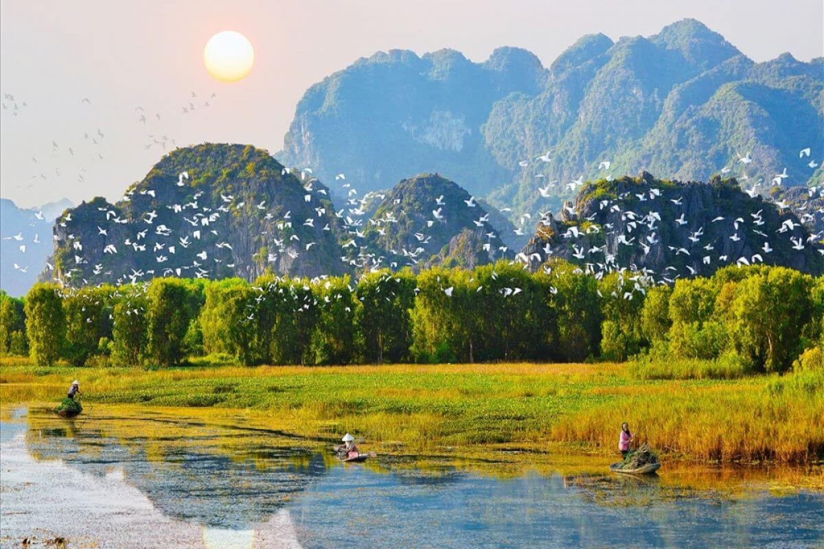 Tourist Attractions in Ninh Binh - Thung Nham Bird Garden is a haven for diverse bird species and stunning landscapes