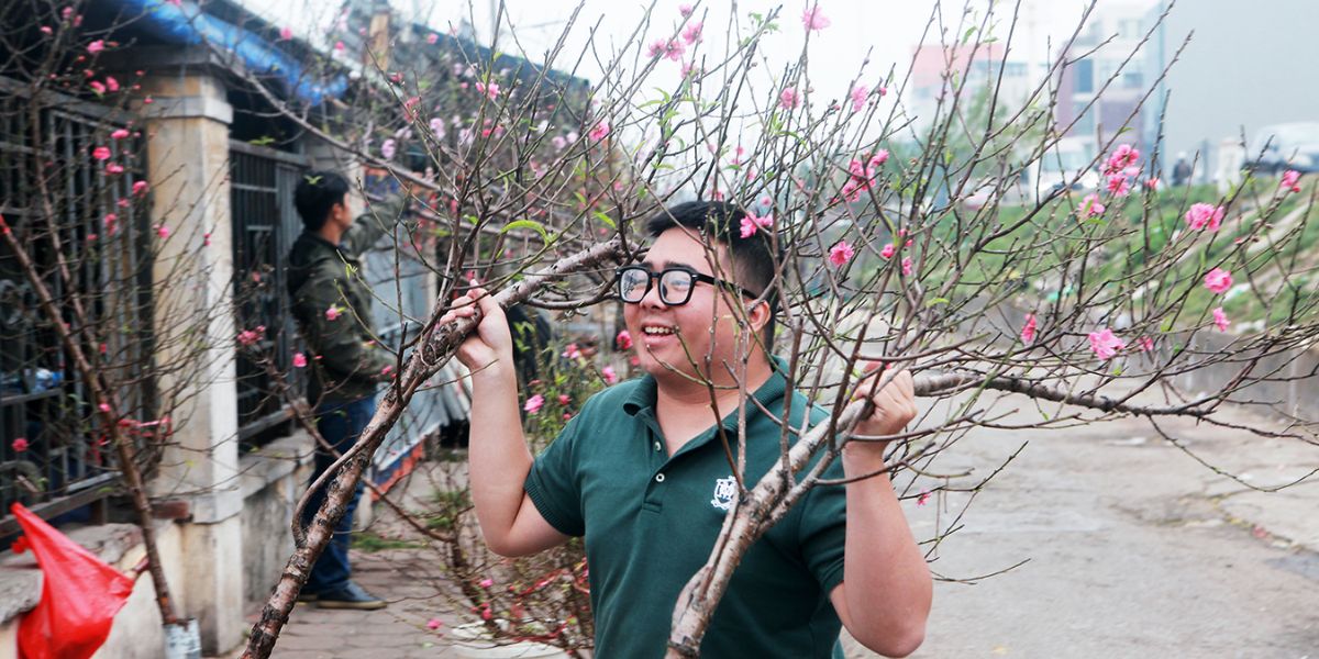 Vietnamese peach blossom Cultural Practices and Traditions