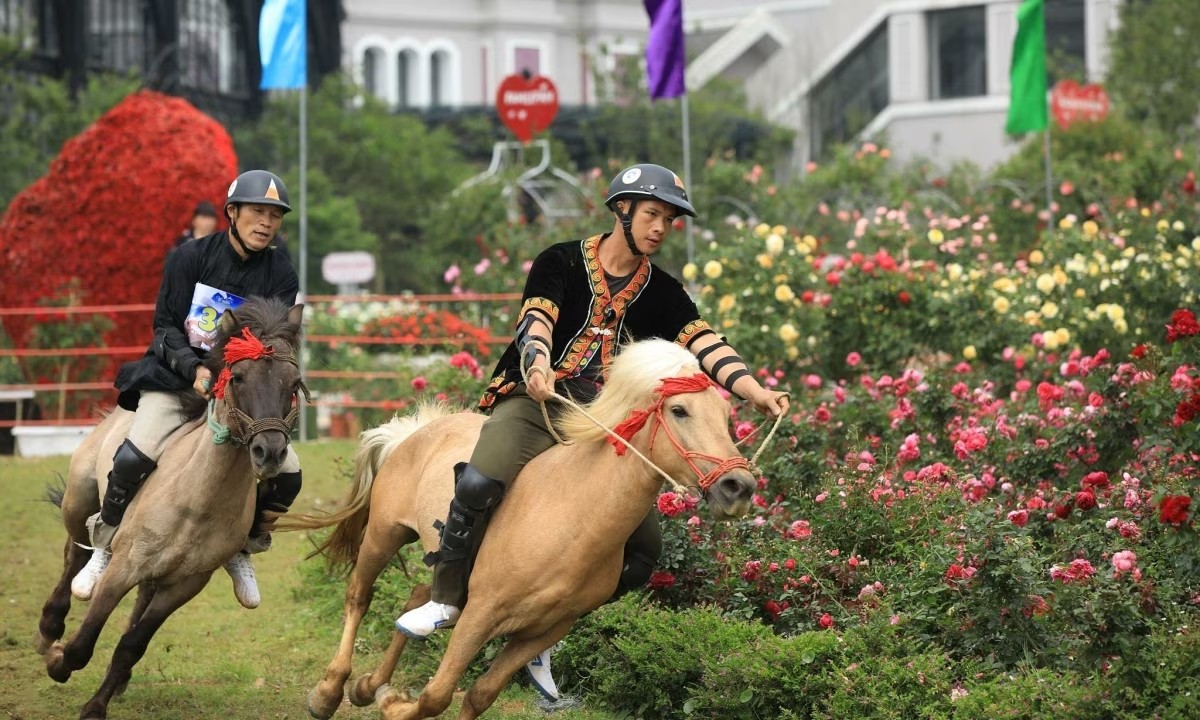Weather Sapa Fansipan local horse race in Mid-July is truly an exciting event for travelers to engage in