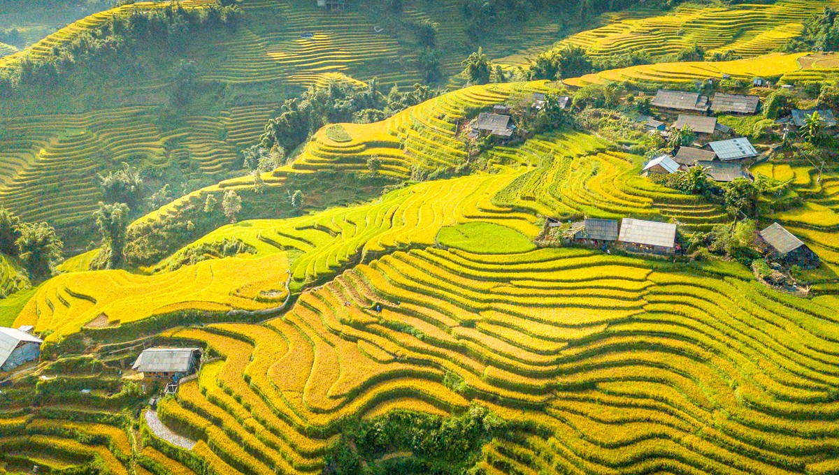 Best Time to Visit Sapa Sapa in autumn will leave you in awe with its breathtaking golden fields