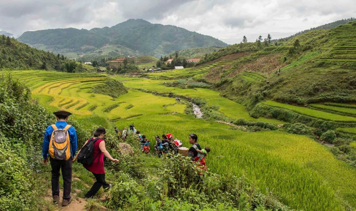 Best Time to Visit Sapa Taking long treks in the summer is a popular activity for tourists in Sapa