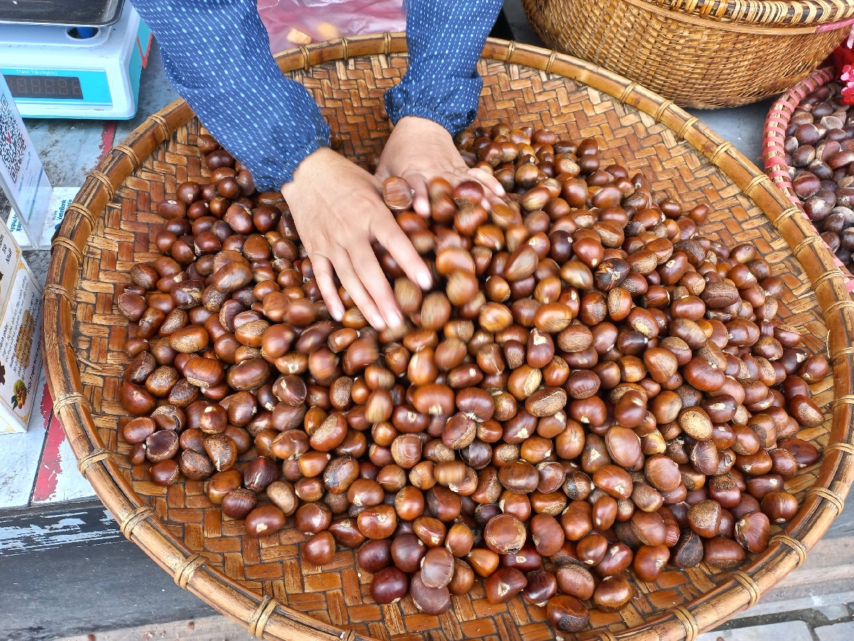 Chestnut Cake Sapa The selected chestnuts should be large, plump, and have a pleasant color