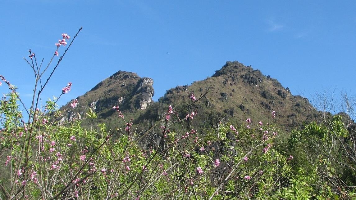 Ham Rong Mountain is a sought-after tourist attraction in Sapa Vietnam