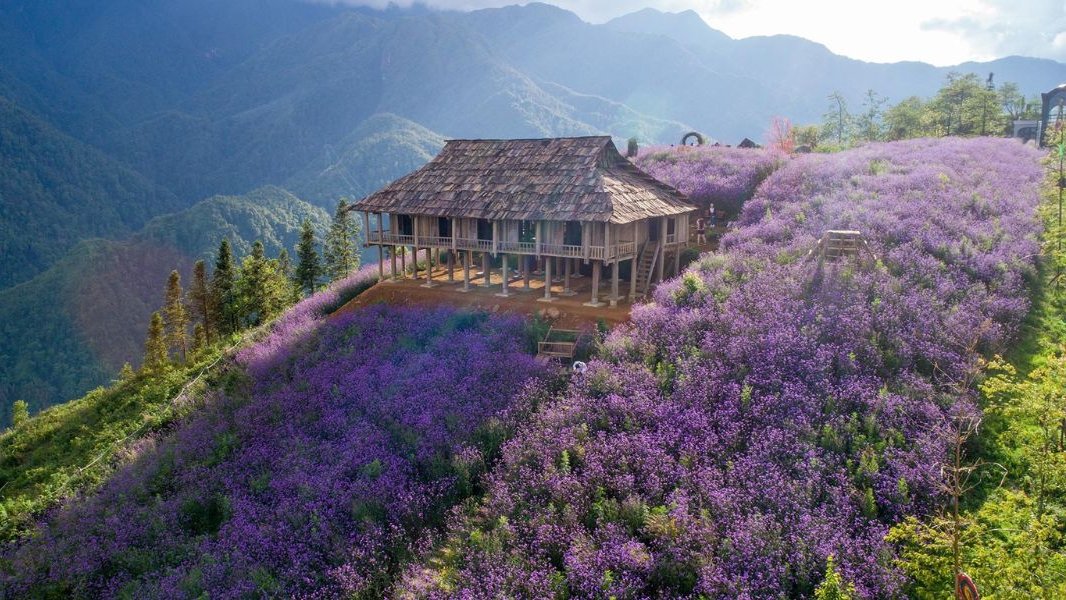 Landscapes of Muong Hoa Valley