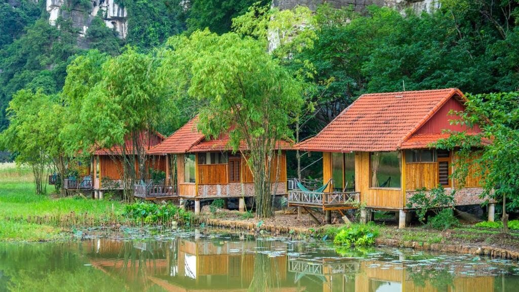 Ninh Binh Accommodation Lotus Field Homestay