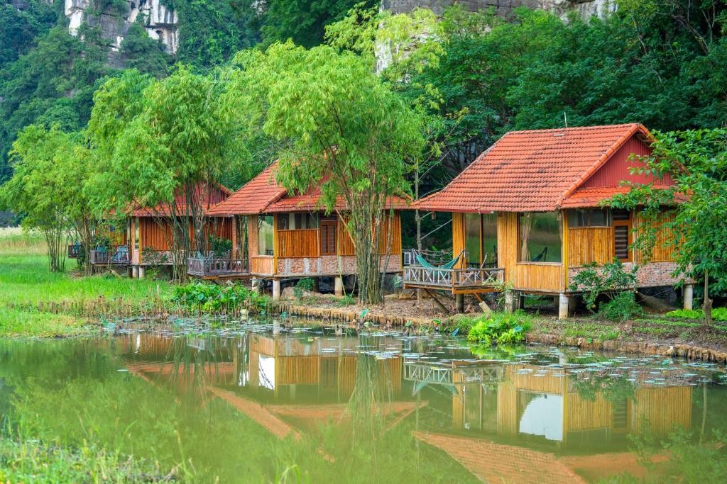 Ninh Binh Accommodation Lotus Field Homestay