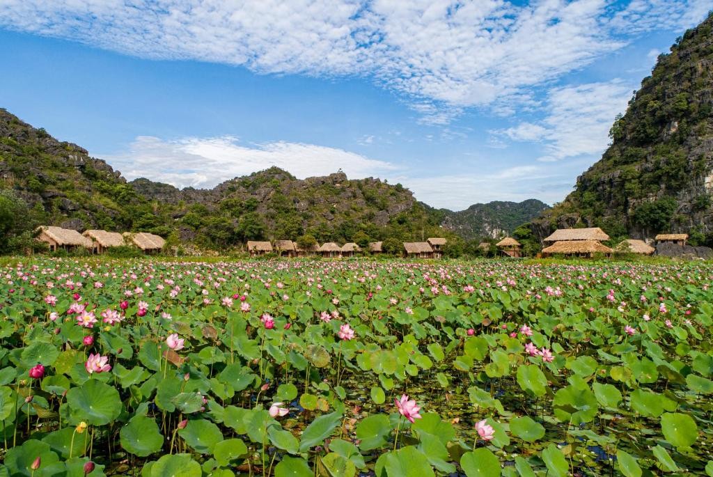 Ninh Binh Accommodation The idyllic surroundings of Muong Village in Ninh Binh are truly a sight to behold