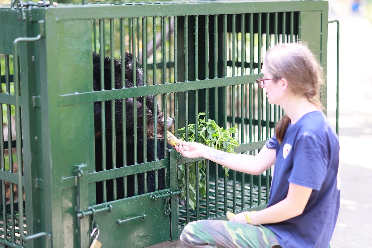Ninh Binh Bear Sanctuary Rescued bears undergo a quarantine period of 21 days
