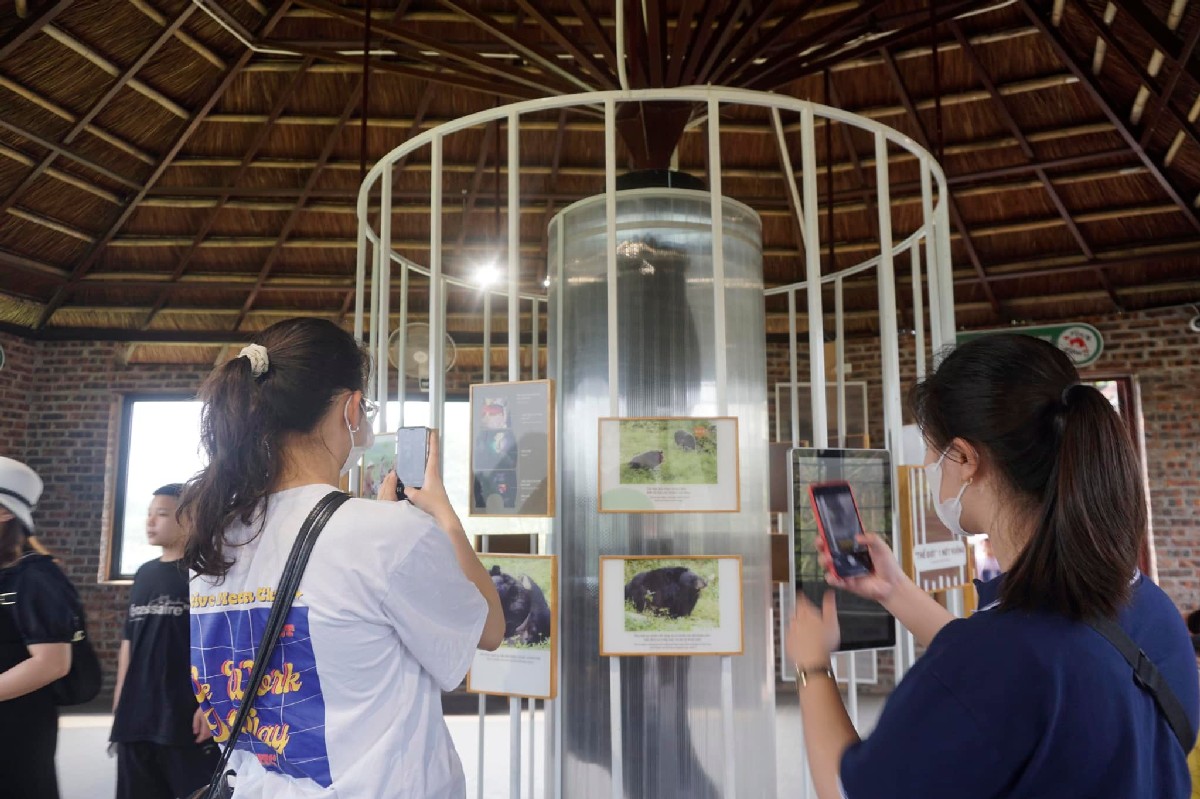 Ninh Binh Bear Sanctuary Take part in an exciting exhibition to learn more about bears