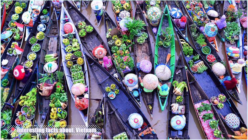 Interesting Facts about Vietnam - Floating markets in Mekong Delta Vietnam