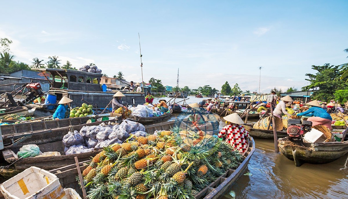 Interesting Facts about Vietnam Floating markets in Mekong Delta Vietnam