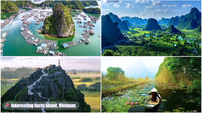 Interesting Facts about Vietnam - Vietnam is safe for visitors